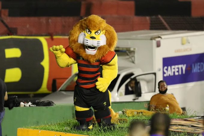 Um autêntico Campeão - Sport Clube Recife 🦁 Um autêntico Campeão - Sport Clube Recife 🦁