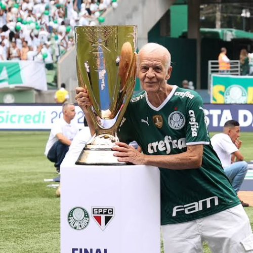 Porcentagem dos títulos do estado de São Paulo