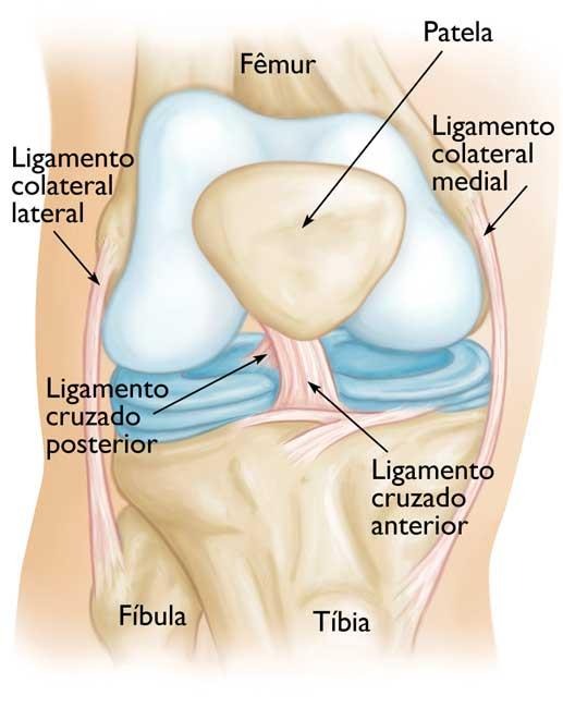 Lesão no ligamento cruzado anterior