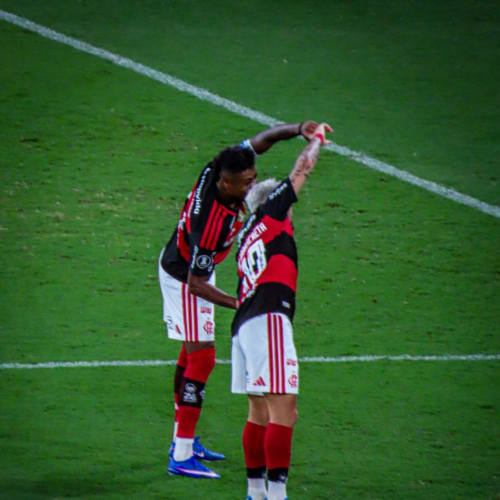 IMORTAIS RUBRO-NEGROS