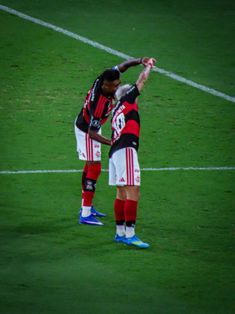 IMORTAIS RUBRO-NEGROS