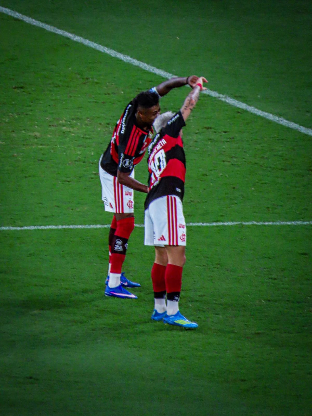 IMORTAIS RUBRO-NEGROS