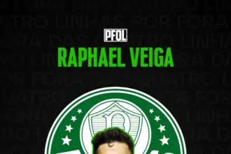 Números de Raphael Veiga pelo Palmeiras (2019-2024)