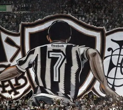 O DIA EM QUE SE RECUSARAM A JOGAR CONTRA O BOTAFOGO NA COPA LIBERTADORES!